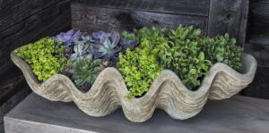 South Seas Shell Planter - Large