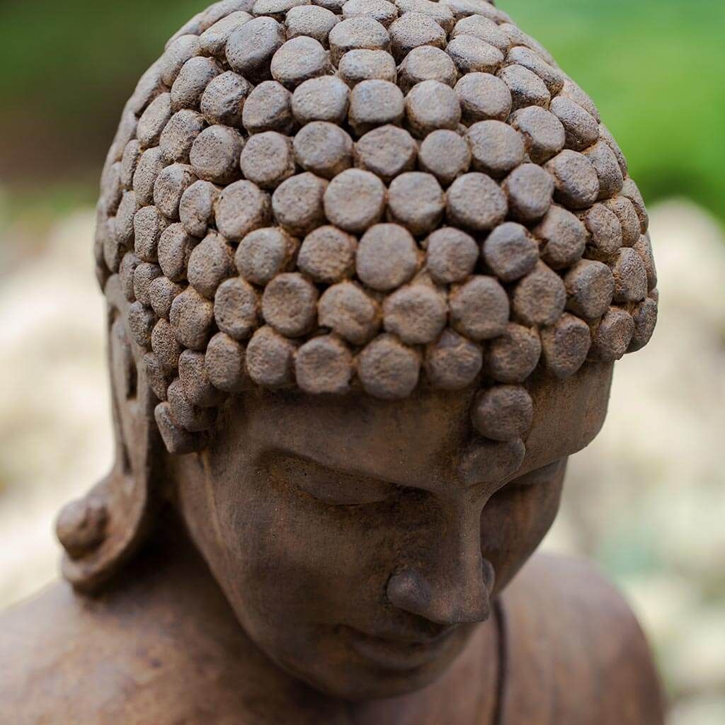 Lotus Buddha Lotus Buddha