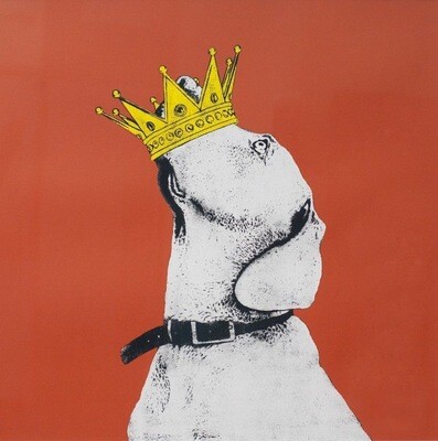 DOLK - Crown - Orange - Spesialversjon. Kun opplag 10