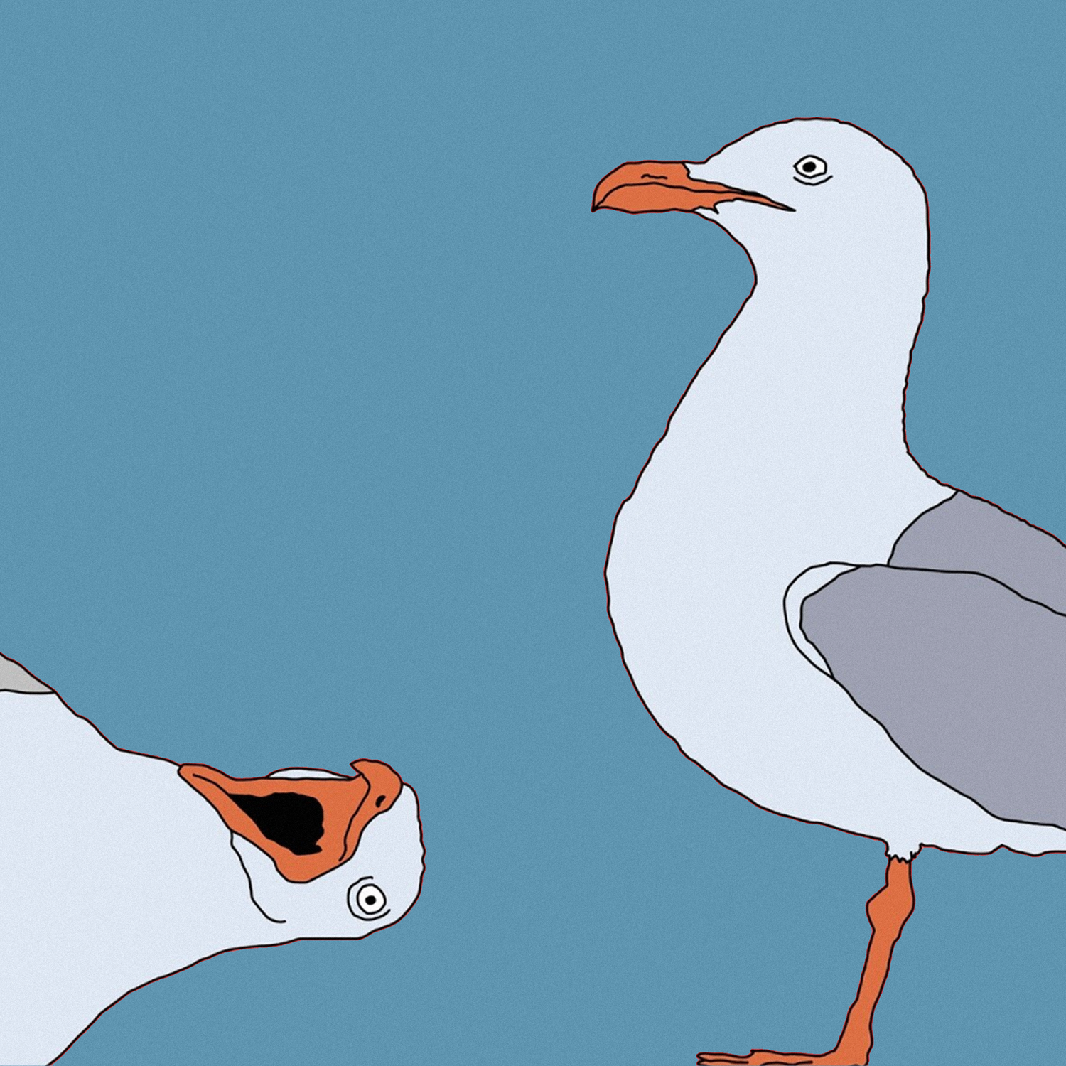 " Måkefaen Lyseblå " Alu 65x65 Av Markus Gunther