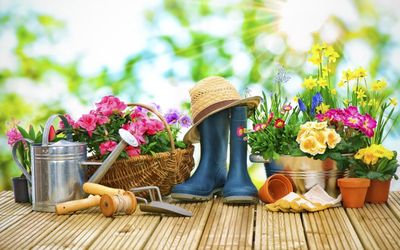 % SOMMERANGEBOTE %