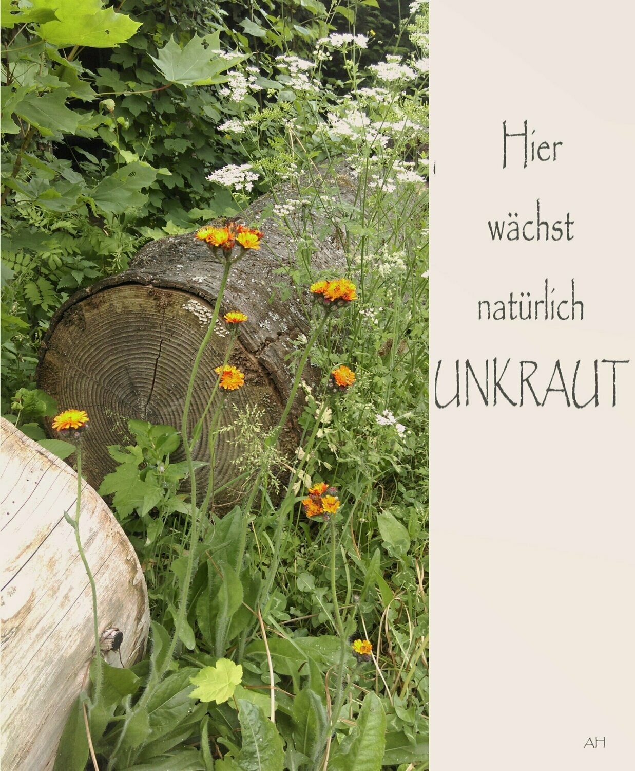 Hier wächst natürlich Unkraut - Postkarte