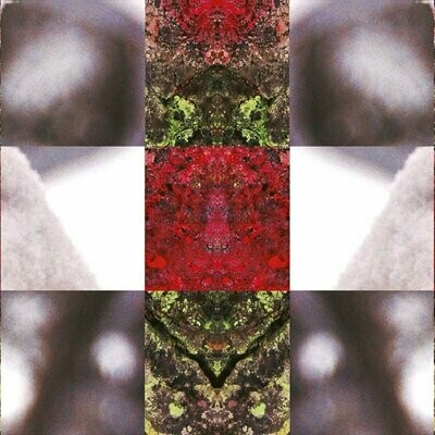 Rorschach