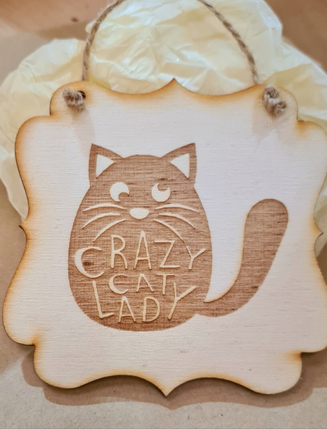 Crazy Cat Lady Hanging Plaque