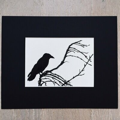 Corbeau sur branche