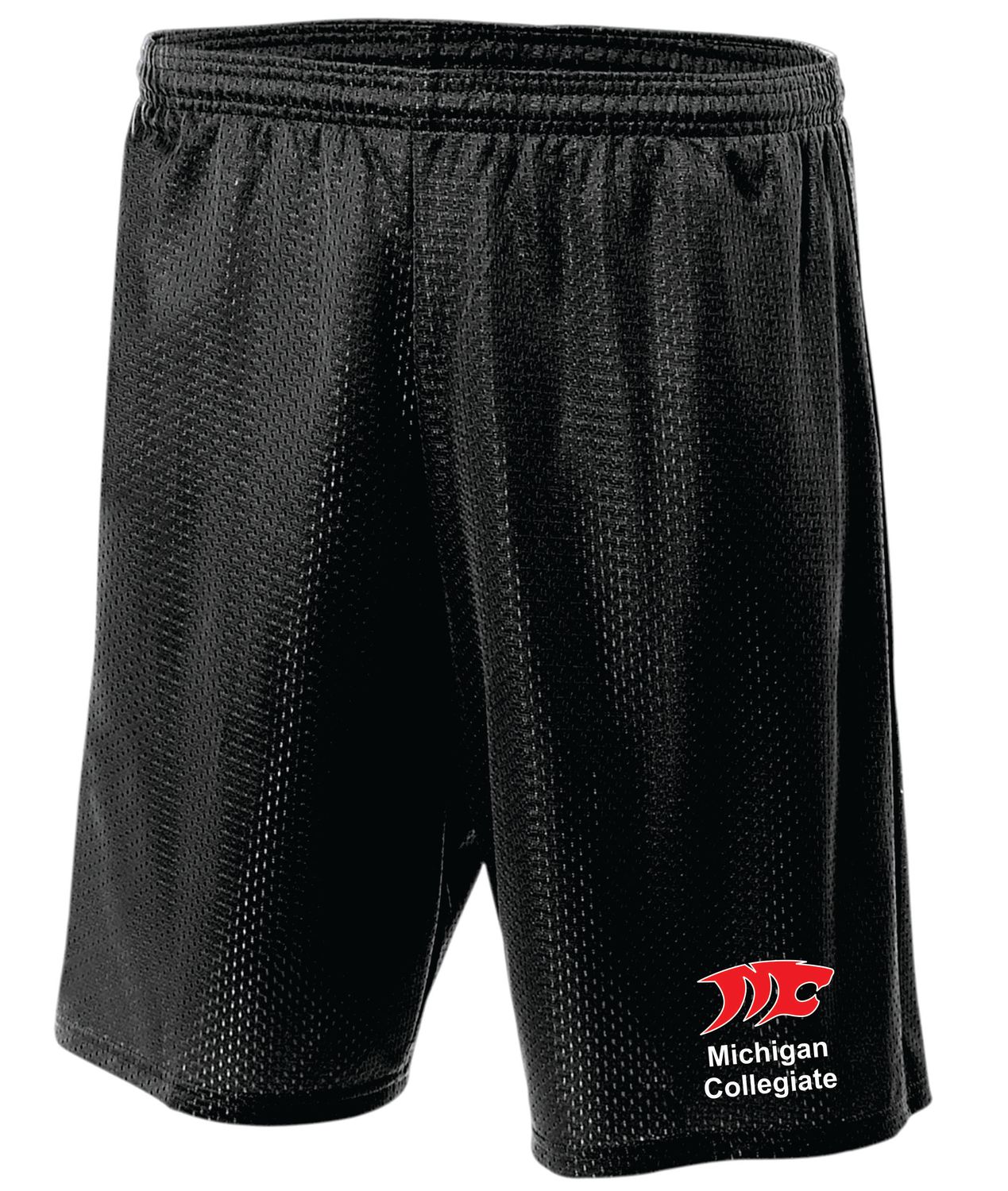 Michigan Collegiate Gym Shorts