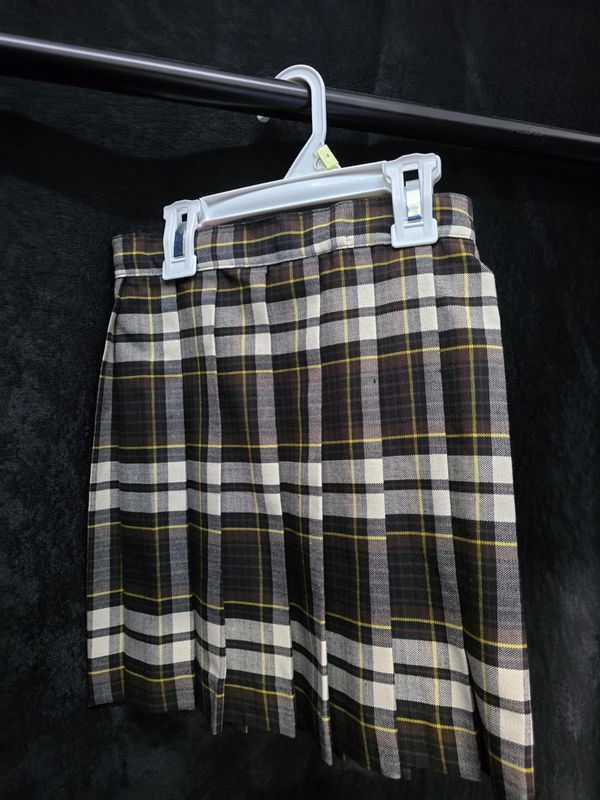 Plaid Pleated Skirt