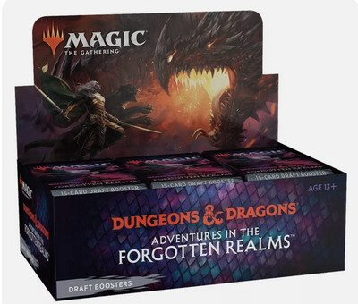 Magic The Gathering Adventures of Forgotten Realms Draft Booster Box 