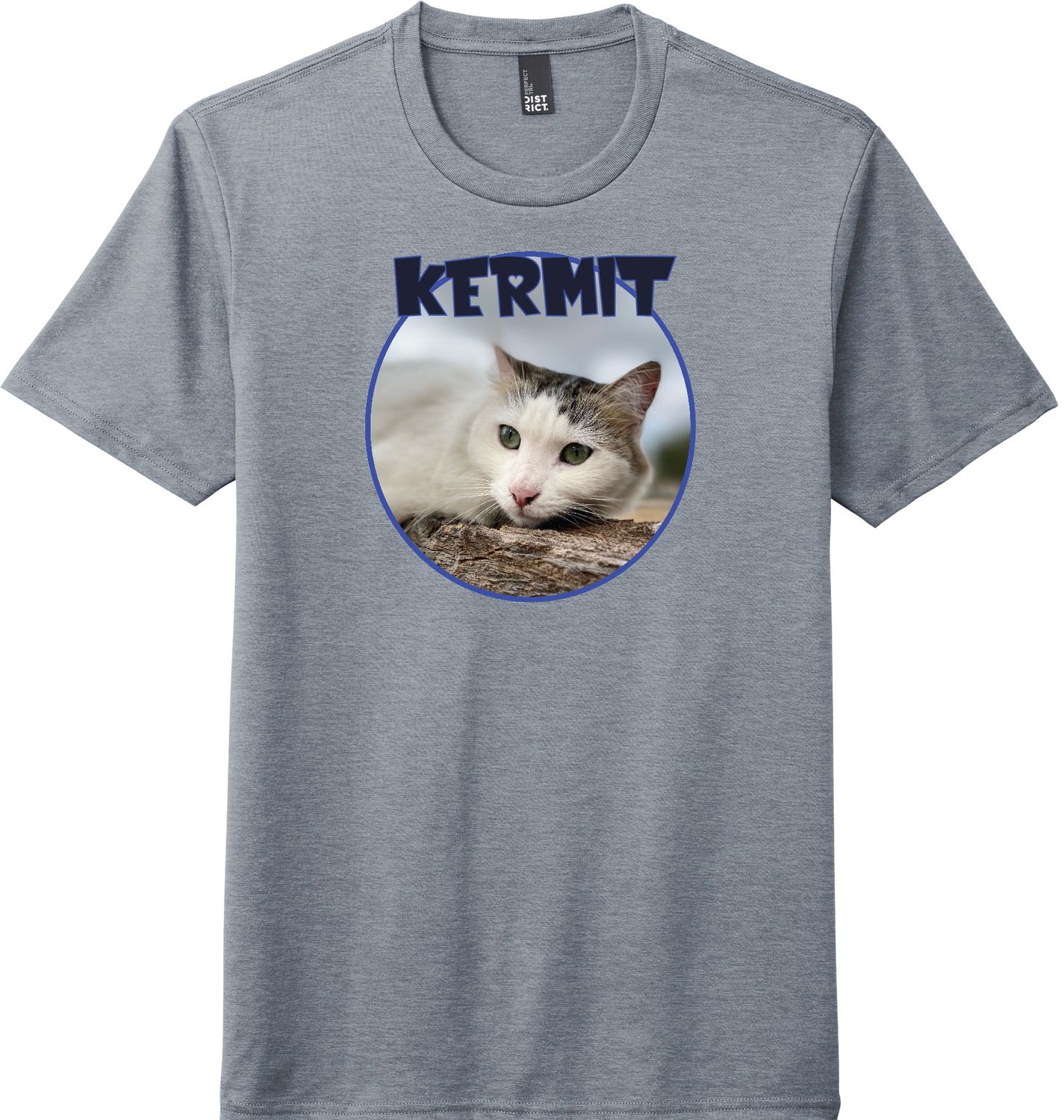 Kermit Tee Blue #3