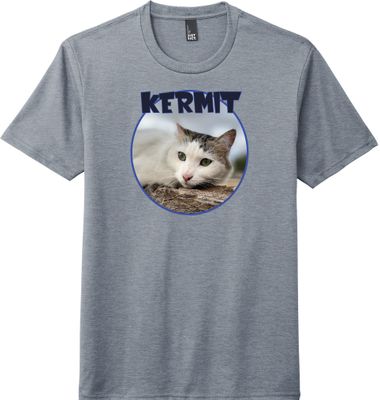 Kermit Tee Blue #3