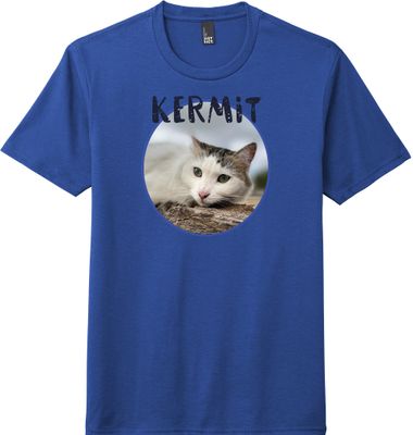 Kermit Tee Blue #1