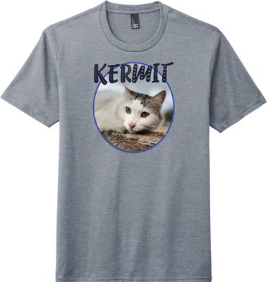 Kermit Tee Blue #2