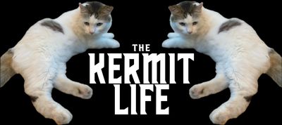 The Kermit Life Tee