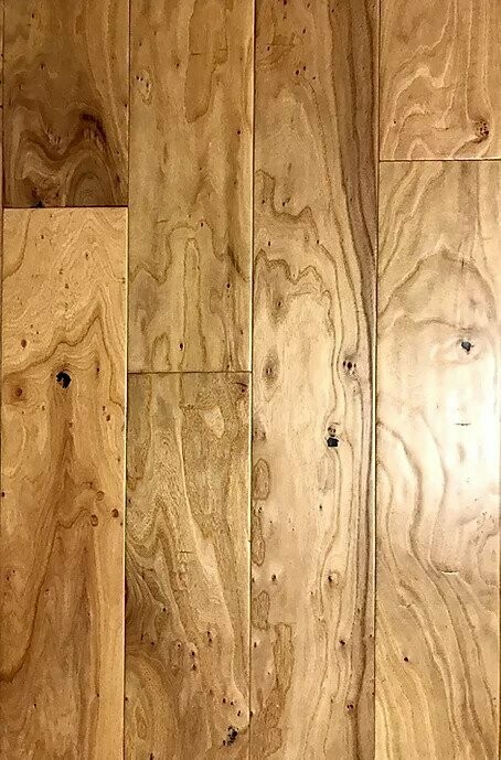 Elm