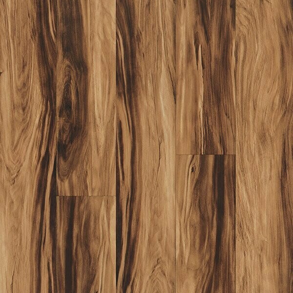 Enduring Elegance, Colors: Acacia