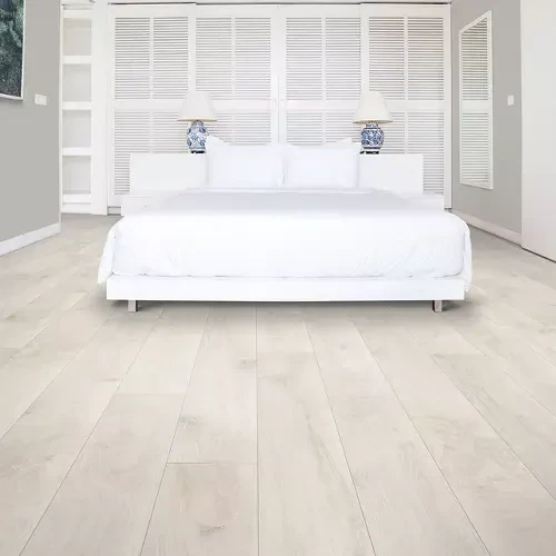 Cypresta