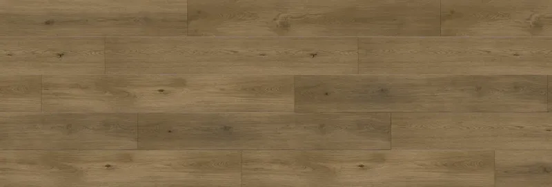 White River Collection