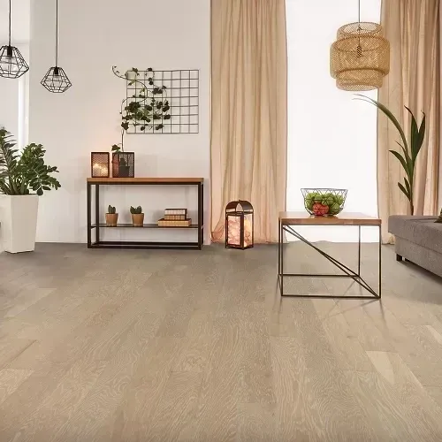 Cafe Society Cafe Society