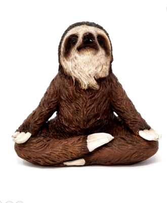 Meditating sloth