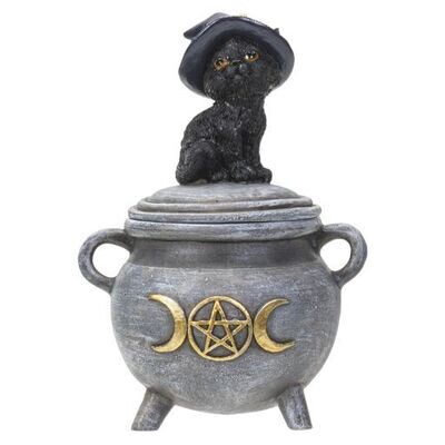 Black Cat on Cauldron box