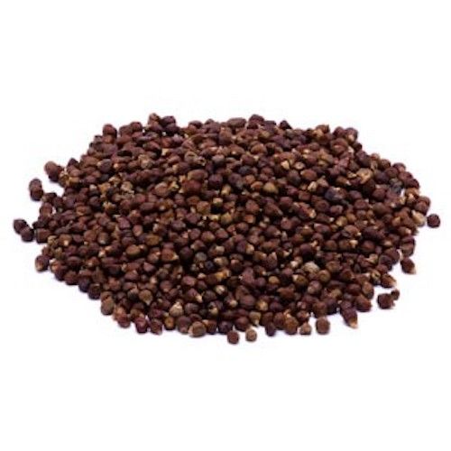 Grains of Paradise Seed, whole 1 oz