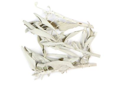 Sage, white wildcrafted, whole 1 oz