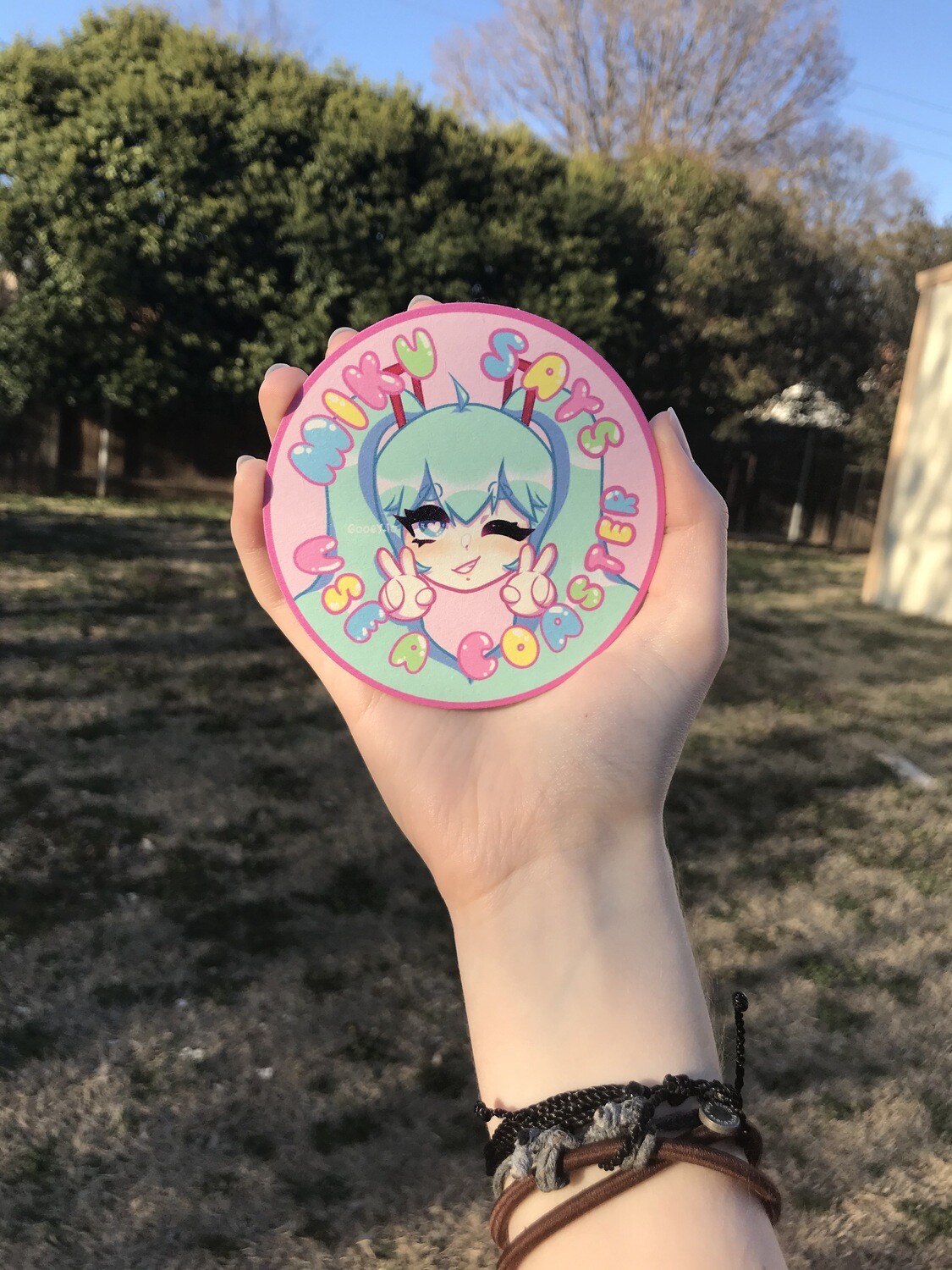 Hatsune Miku Coaster