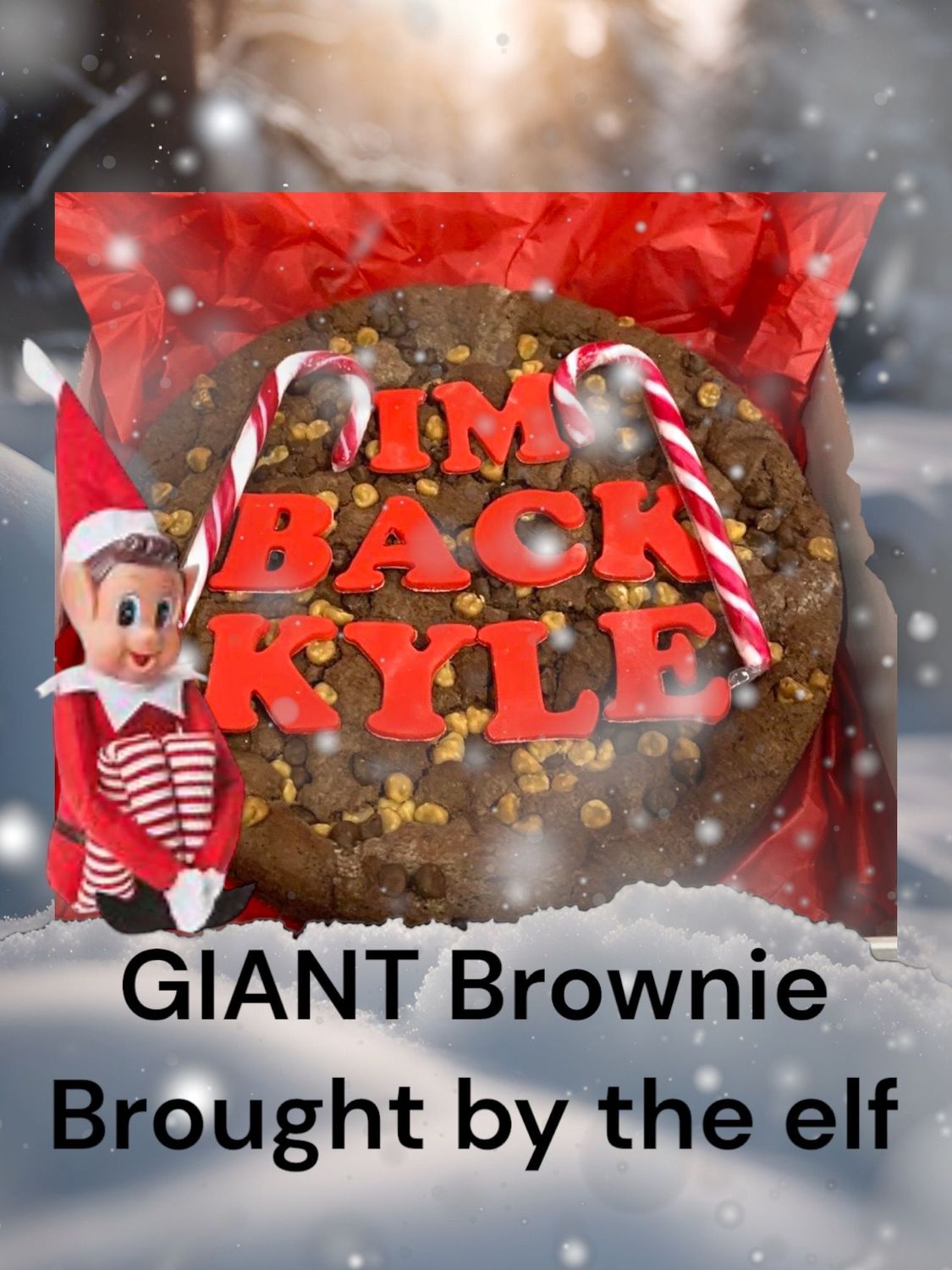 GIANT Brownie GIANT Brownie "I'm Back" for elf arrivals