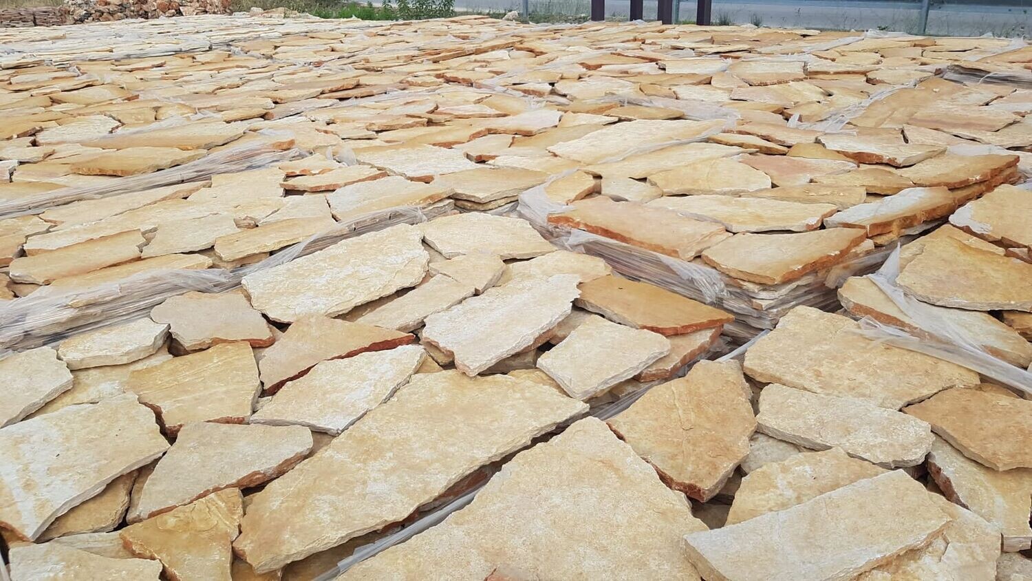 Scorza di Trani