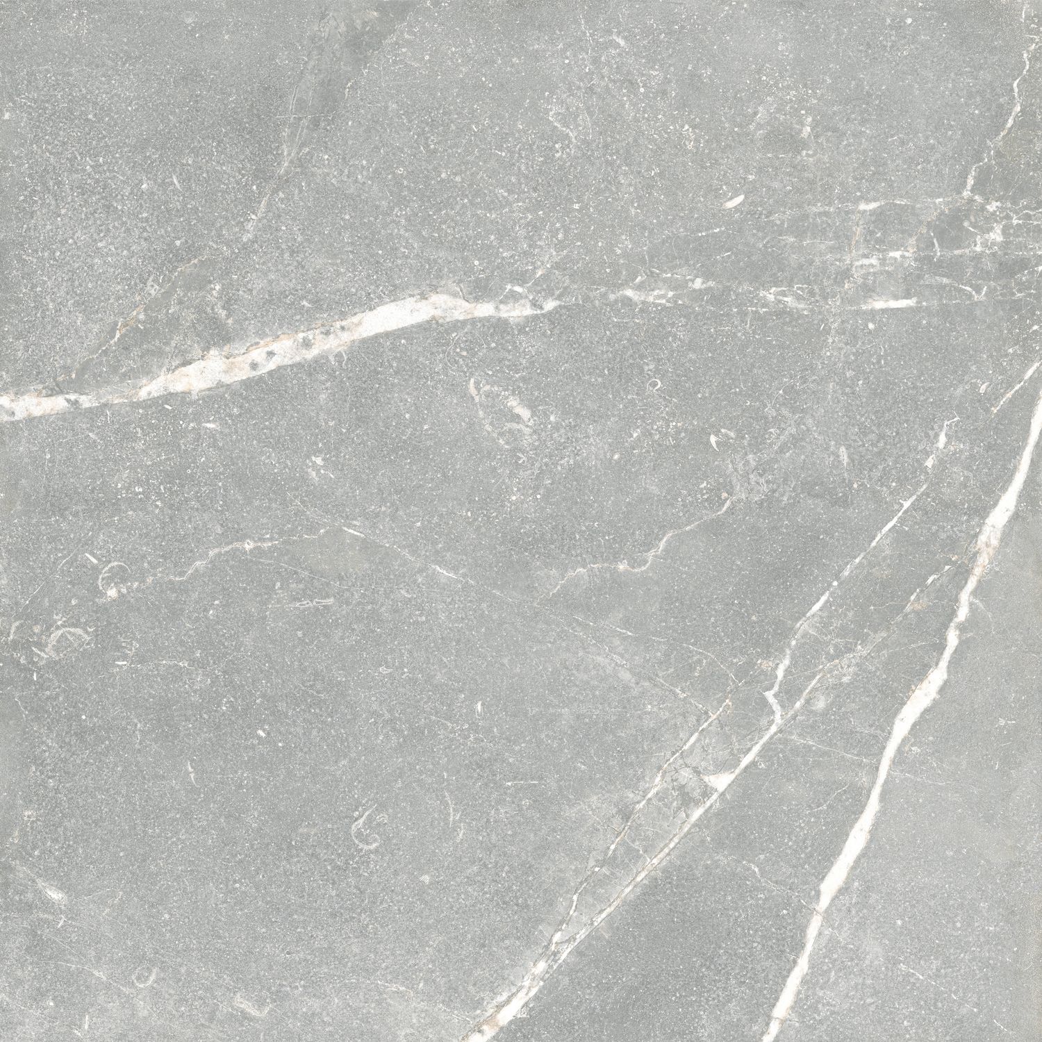 EC TOULOUSE 120X120 RT