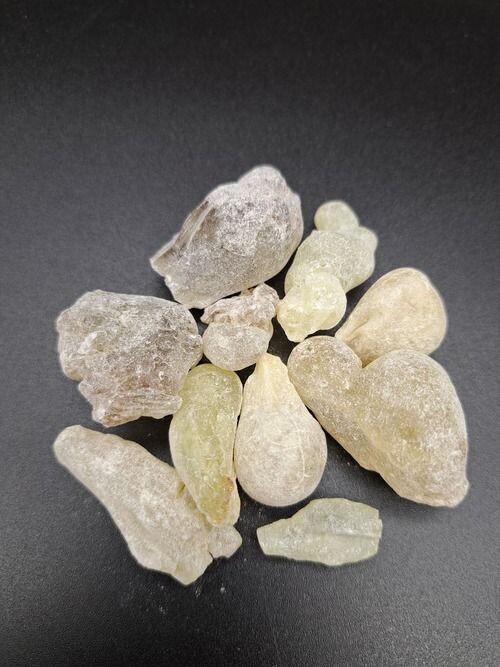 grüner Weihrauch Al Hojari, Oman