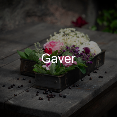 Gaver