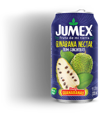 Guanábana Néctar 11.3 oz