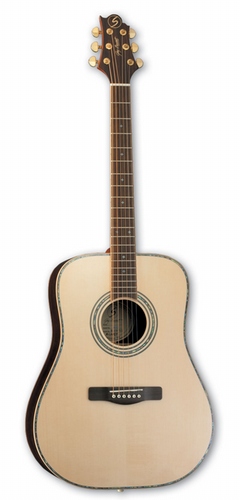 Samick ASDR Acoustic Guitar