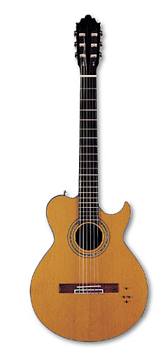 Samick CSMJ 13 Acoustic Guitar