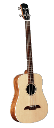 Alvarez Acoustic Bass Guitar