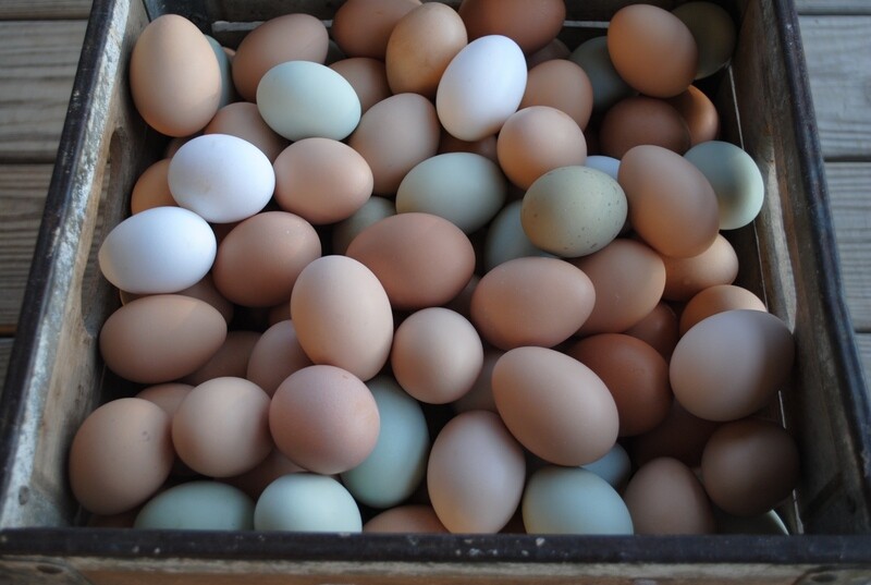 Eggs