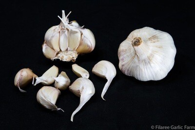 Garlic - Inchelium Red Garlic