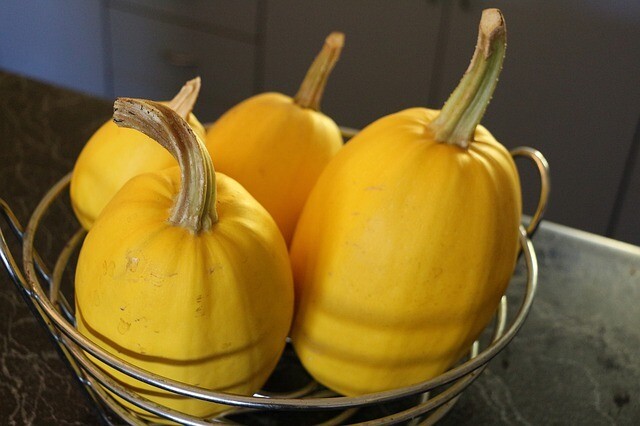 Squash - Spaghetti Squash