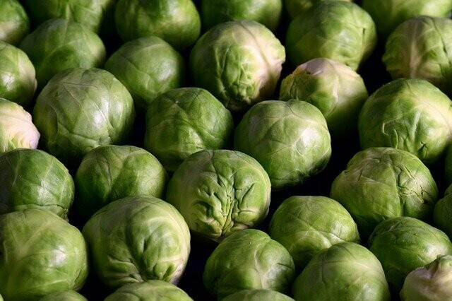 Brussels Sprouts