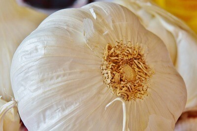 Garlic Minced - 4 oz