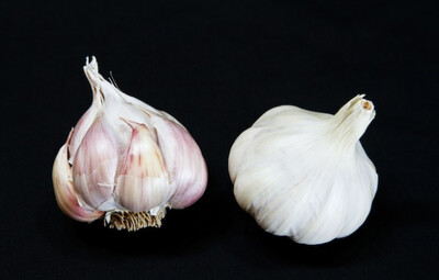 Garlic - Nootka Rose Garlic