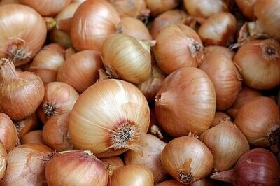 Onion - Minced - 4 oz