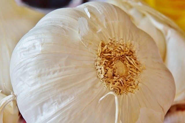 Garlic Powder - 4 oz