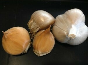 Garlic - Elephant Garlic