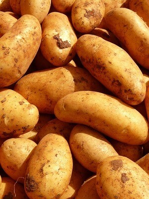 Russett Potatoes