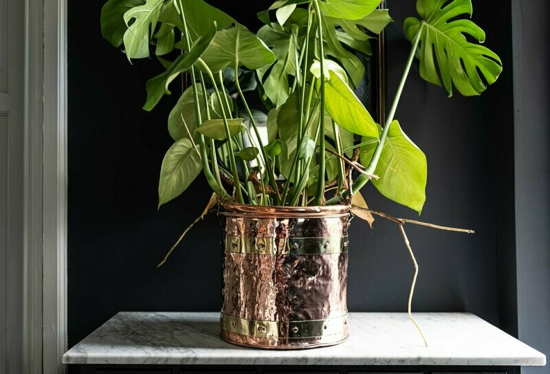 Copper & Brass Riveted Coal Bucket