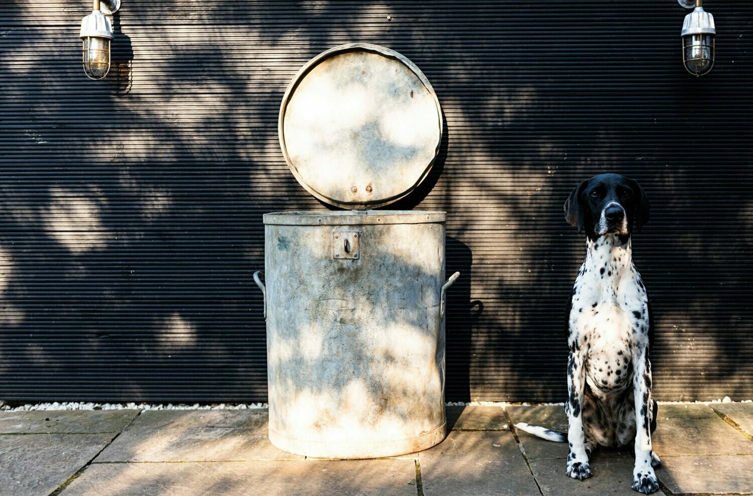 Large Galvanised Riveted Feed Bin