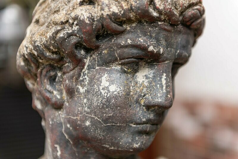 Michelangelo's David Statue