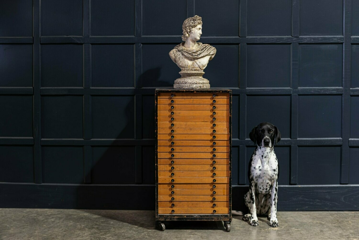 Early 20thC Printers Letter Press Collectors Cabinet